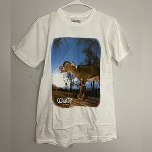 CoalaTree Shirts Mens, S